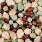 Protein Powerhouse Mix Sprouting Seeds SS12-50