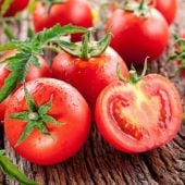 N - Root-Knot Nematode Resistant Tomatoes