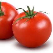 Calypso Tomato TM421-20
