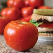 Semi-Determinate Tomato