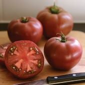 Cherokee Carbon Tomato TM917-10