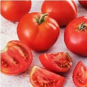 Creole Tomato Seeds TM497-20_Base