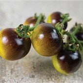 Indigo Gold Berries Tomato TM783-20_Base