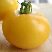 Lillian's Yellow Tomato TM77-20
