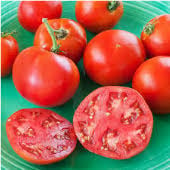 Marglobe Supreme Tomato TM209-20_Base
