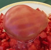 New Zealand Pink Paste Tomato TM91-10