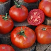 Sprayless Tomato