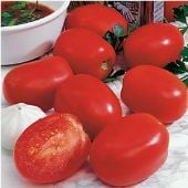 Plum Dandy Tomato Seeds TM501-10_Base