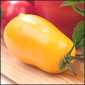 Plum Tomato (Yellow) TM449-20