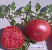 3D Rose Tomato Chalk Pomedoro Grosso Vegetable Seed Packet Reproduction Pot Holder 8 x 8 