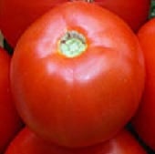 Santa Clara Canner Tomato TM707-10
