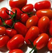 Sprite Tomato TM461-10
