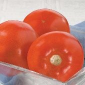CR - Clubroot Resistant Tomatoes