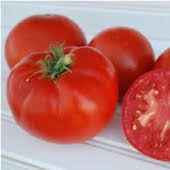 Drought Tolerant Tomato