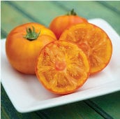 Tye-Dye Orange Tomato Seeds TM865-20_Base