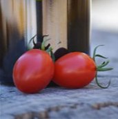 Uva Roja Tomato TM600-10
