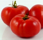 Tomato - V