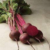 Red Ace Beets BT26-50_Base