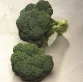 Diplomat Broccoli Seeds BR45-100_Base