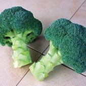 Millennium Broccoli Seeds BR35-100_Base