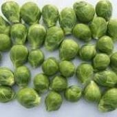 Attis Brussels Sprouts BS19-50