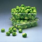Capitola Brussels Sprouts BS21-50