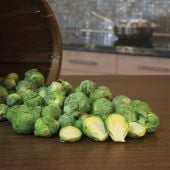 Marte Brussels Sprouts Seeds BS13-50_Base