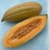 Banana Melon Seeds CA36-50_Base