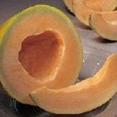 Crenshaw Melon Seeds CA54-50_Base
