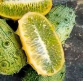 Kiwano Melons (African Horned/Jelly Melon) CU62-10