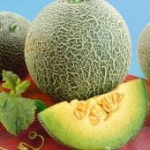 Rocky Ford Melons CA13-20