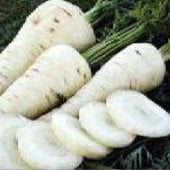 Snow White Carrot Seeds CT34-750_Base