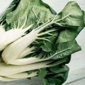 Cabbage - Chinese