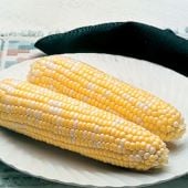 Delectable Corn Seeds CN33-50_Base