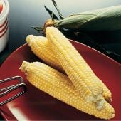 Sugar Buns Corn Seeds CN47-50_Base