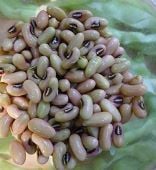 Beans - Cowpeas