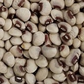 Top Pick Pinkeye Cowpea Seeds BN140-50_Base