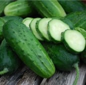 Boston Pickling Improved Cucumbers CU61-20_Base