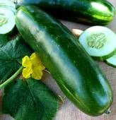Long Green Improved Cucumbers CU44-20