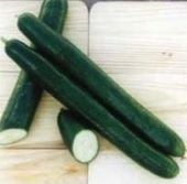 Pepinex Cucumbers CU135-10
