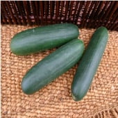 Rockingham Cucumbers CU96-20