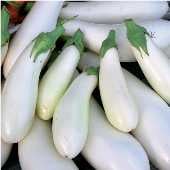 Casper Eggplants EG9-20
