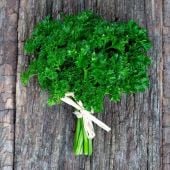 Champion Moss Curled Parsley HB110-100