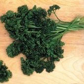 Forest Green Parsley HB56-100