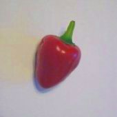 Aji Cereza Hot Peppers HP1037-10