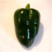 Ancho Mulato Hot Peppers HP158-10_Base