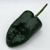 Ancho San Luis Hot Peppers HP13-10