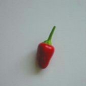 Ano Todo Hot Peppers (Type 1) HP2139-10