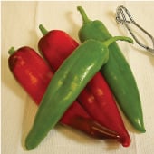 Biggie Chile Hot Peppers HP1989-10