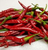 Chile de Arbol Hot Peppers (Red) HP51-20
